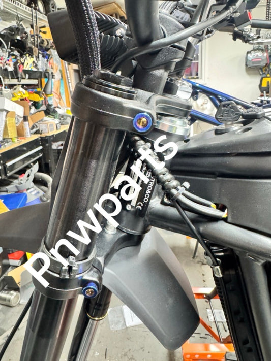 Rizzler fork crown bolts (4)